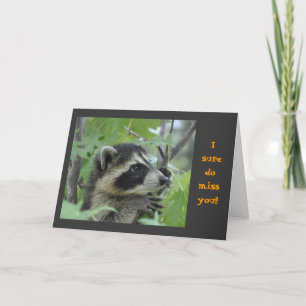 Waschbär - Notecard Karte