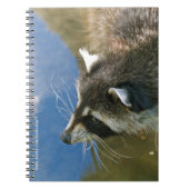 Waschbär Notizblock (Vorderseite)