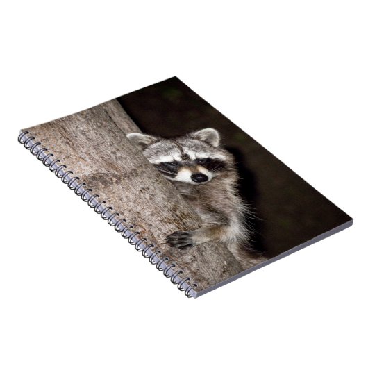 Waschbär Notizblock (Rechte Seite)