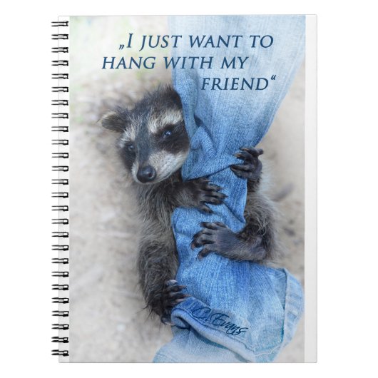 Waschbär - notizblock (Vorderseite)