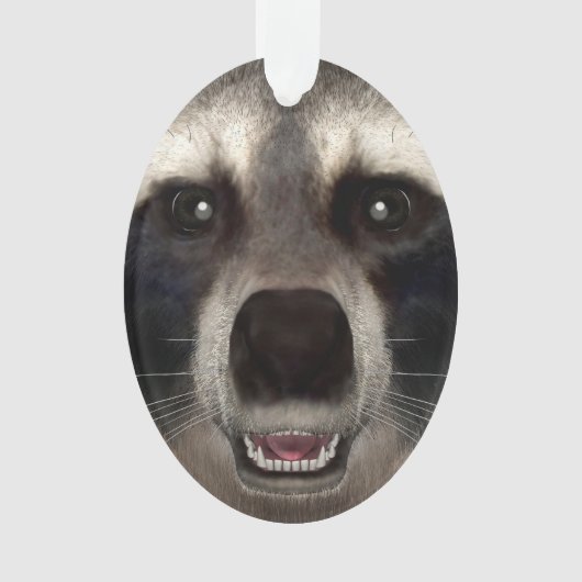 Waschbär Ornament (Vorderseite)