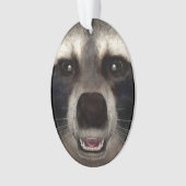 Waschbär Ornament (Vorderseite)