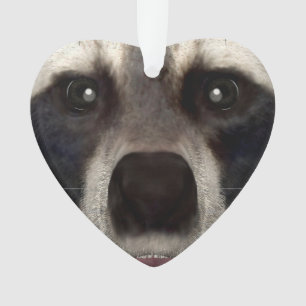 Waschbär Ornament