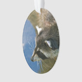 Waschbär Ornament (Vorderseite)