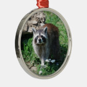 Waschbär Ornament Aus Metall (Rechts)