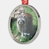Waschbär Ornament Aus Metall (Links)