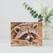 Waschbär Postkarte (Stehend Vorderseite)