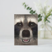 Waschbär Postkarte (Stehend Vorderseite)