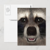 Waschbär Postkarte (Vorne/Hinten)