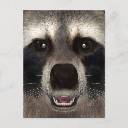 Waschbär Postkarte (Vorderseite)