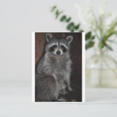 Waschbär Postkarte (Stehend Vorderseite)