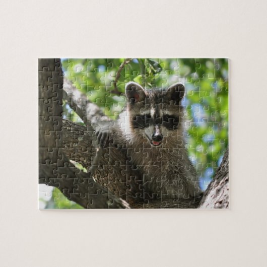 Waschbär - Puzzle (Horizontal)