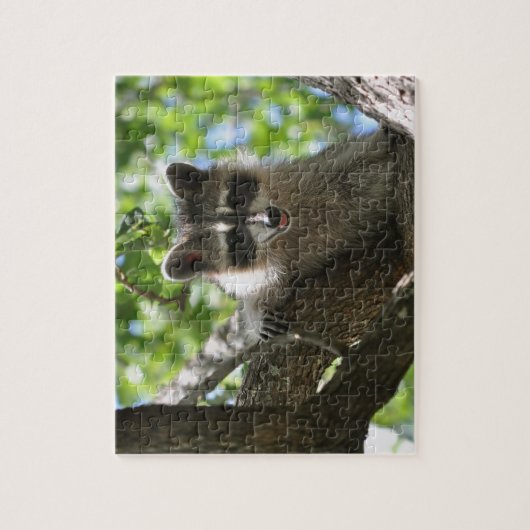 Waschbär - Puzzle (Vertikal)