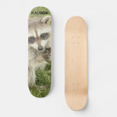 Waschbär Skateboard (Vorderseite)