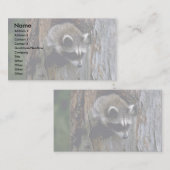 Waschbär-Sommer-Knabe im hohlen Baum Visitenkarte (Vorne/Hinten)