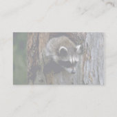 Waschbär-Sommer-Knabe im hohlen Baum Visitenkarte (Rückseite)