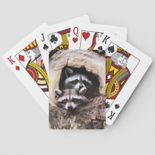 Waschbär-Spielkarten Spielkarten (Rückseite)