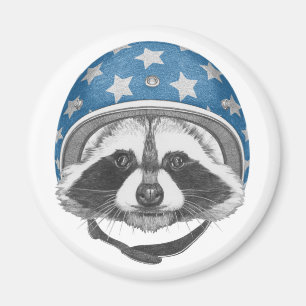 Waschbär-Stuntfahrer Magnet