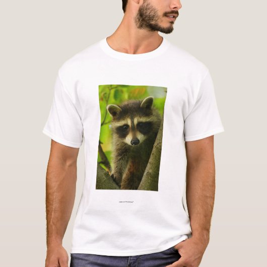 Waschbär T-Shirt (Vorderseite)