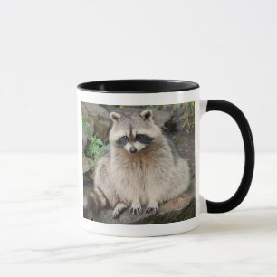 Waschbär Tasse