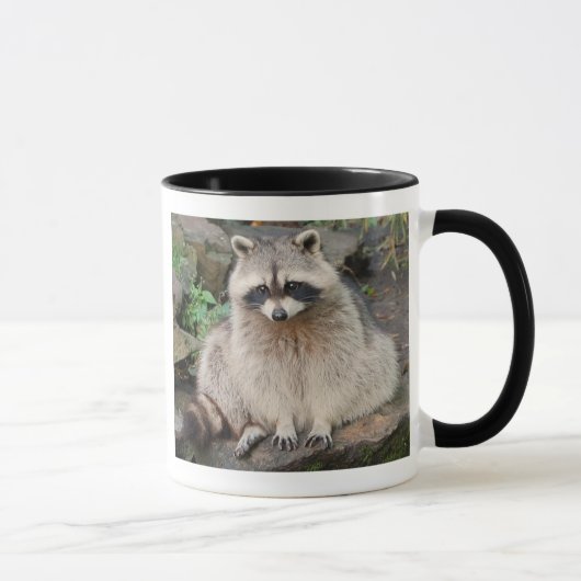 Waschbär Tasse (Rechts)