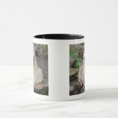 Waschbär Tasse (Zentrum)