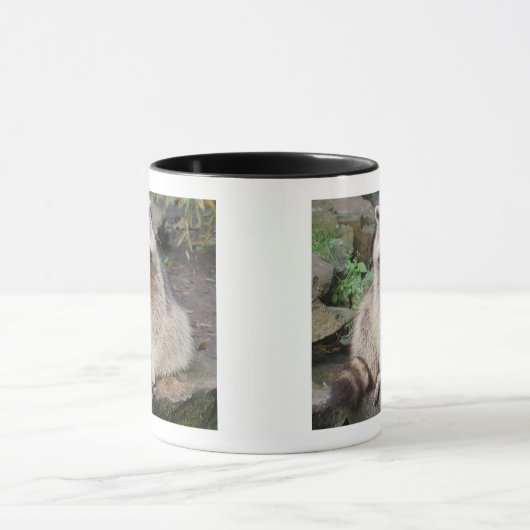 Waschbär Tasse (Zentrum)