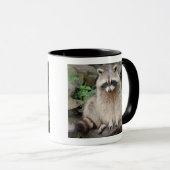 Waschbär Tasse (VorderseiteRechts)