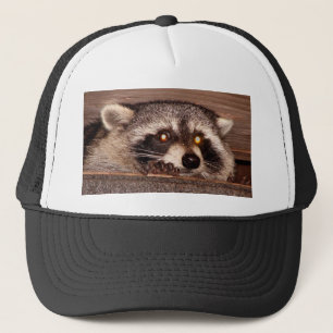 Waschbär Truckerkappe