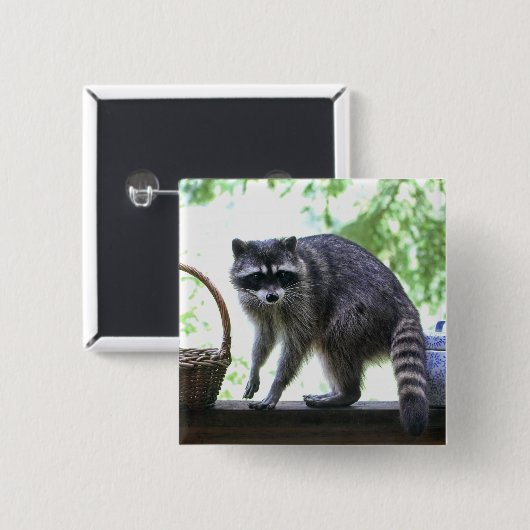 Waschbär-und Plätzchen-Glas Button (Vorne & Hinten)