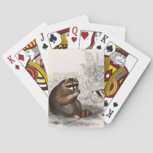 Waschbär vintage illustriert spielkarten