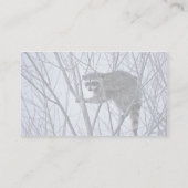 Waschbär Visitenkarte (Rückseite)