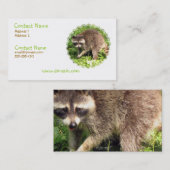 Waschbär-Visitenkarte Visitenkarte (Vorne/Hinten)