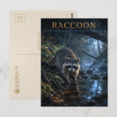 Waschbär-Waldstrom TIERE Postkarte (Vorne/Hinten)