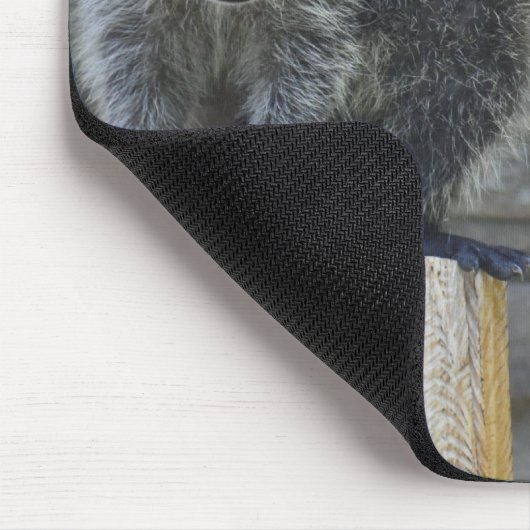 Waschbären - Mousepad - #1032 (Ecke)