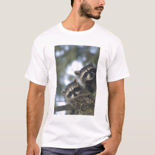 Waschbären Procyon Lotor) vom Fish Lake, Zentral T-Shirt