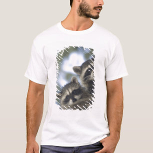 Waschbären Procyon Lotor) vom Fish Lake, Zentral T-Shirt
