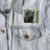 Waschbärnadeln Button (Beispiel)