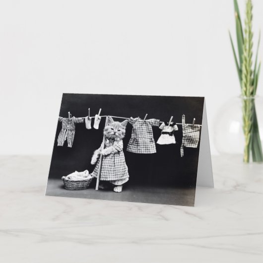 Wäsche Day Kitty Karte (Vorderseite)