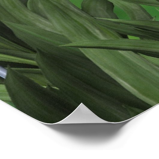 Wäsche-Fee Poster (Ecke)