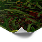 Wäsche für Vintage Wäsche Poster (Ecke)