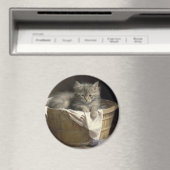 Wäsche- oder Spielzeit Grau-Kitten-Portrait Magnet (In Situ (Geschirrspüler))