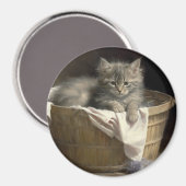 Wäsche- oder Spielzeit Grau-Kitten-Portrait Magnet (Vorderseite/Rückseite)