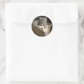 Wäsche- oder Spielzeit Grau-Kitten-Portrait Runder Aufkleber (Tasche)