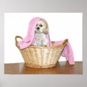 Wäschehelfer Poster (Vorne)