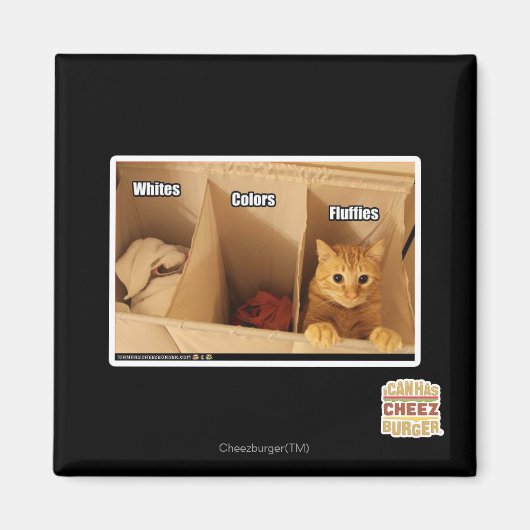 Wäschekatze Magnet (Vorne)