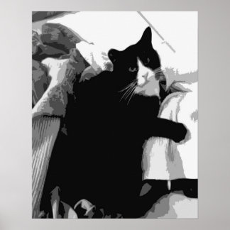 Wäschekatze Poster