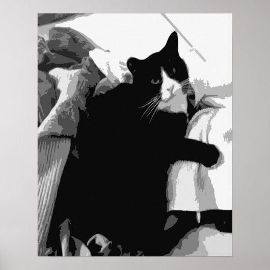 Wäschekatze Poster (Vorne)