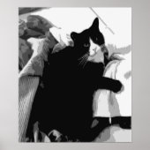 Wäschekatze Poster (Vorne)