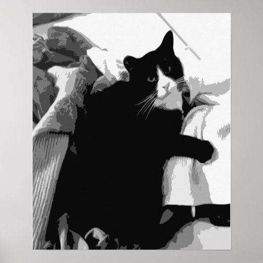 Wäschekatze Poster (Vorne)